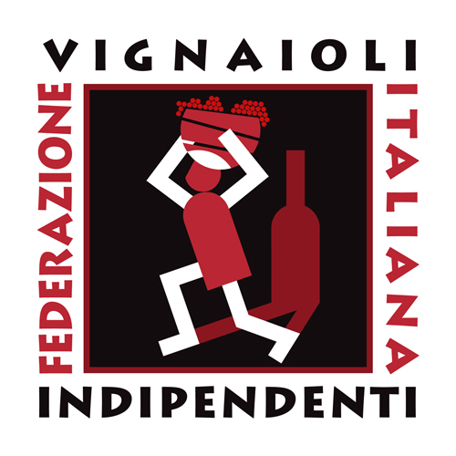 Logo FIVI web